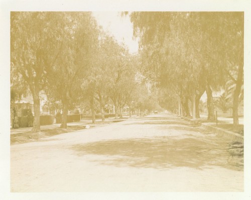 1900 north marengo ave - 1900,